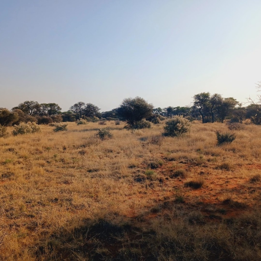Commercial Property for Sale in Barkly West Rural Northern Cape